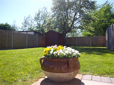 Picture 43